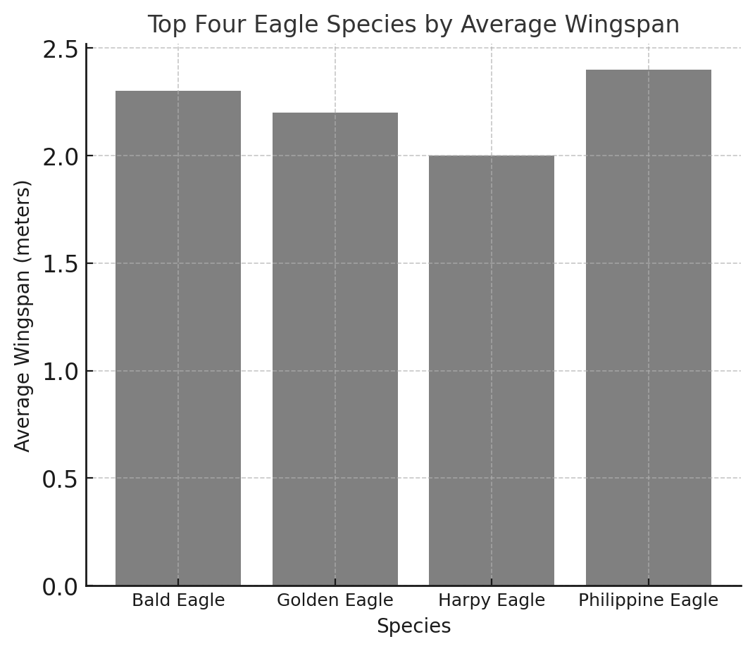 Bar chart titled 'Top Four Eagle Species by Average Wingspan.' The x-axis is 'Species' and the y-axis is 'Average Wingspan (meters)' from 0 to 2.5. Bar heights: Bald Eagle 2.3, Golden Eagle 2.2, Harpy Eagle 2.0, Philippine Eagle 2.4 meters. The Philippine Eagle is the tallest bar and the Harpy Eagle the shortest.